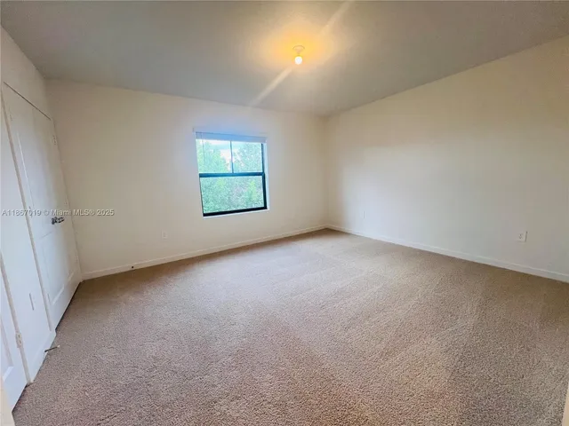a view of a yard with plants and a fountain
