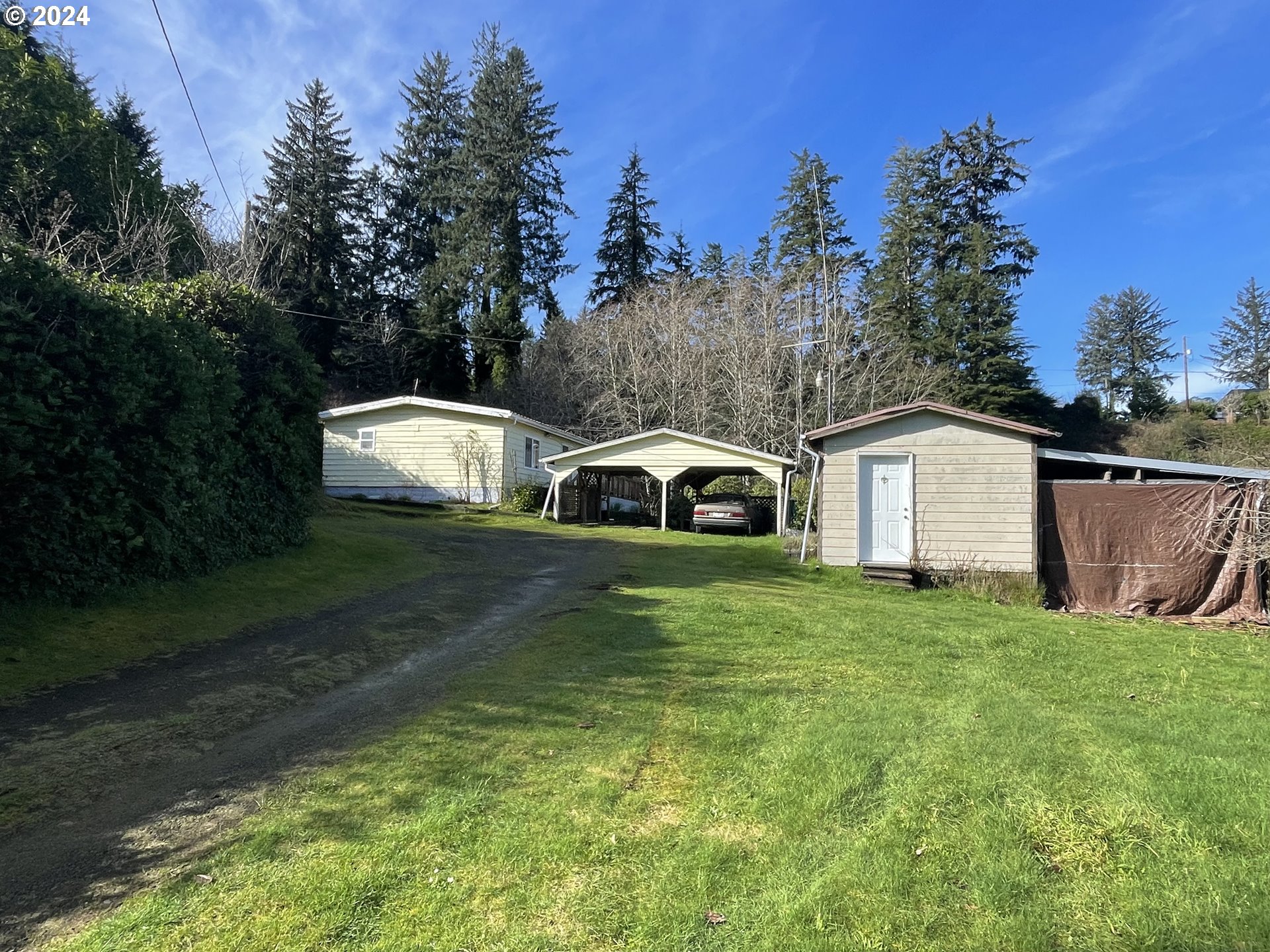 85566 Maple Street Florence, OR 97439 - Photo 2 of 23 Yard