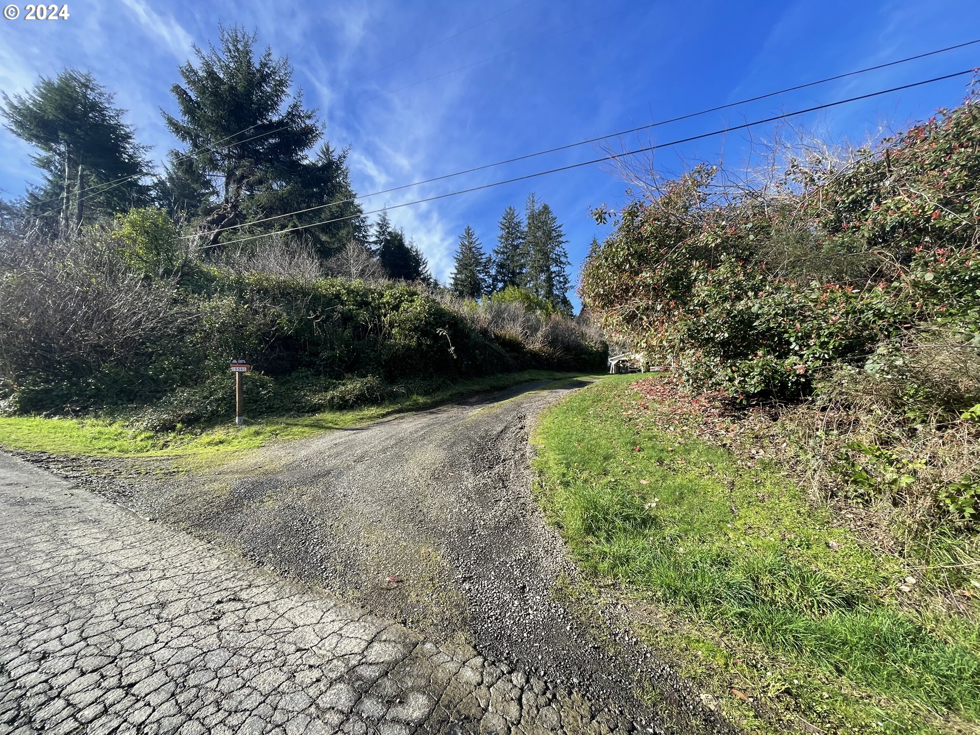 85566 Maple Street Florence, OR 97439 - Photo 22 of 23 Driveway