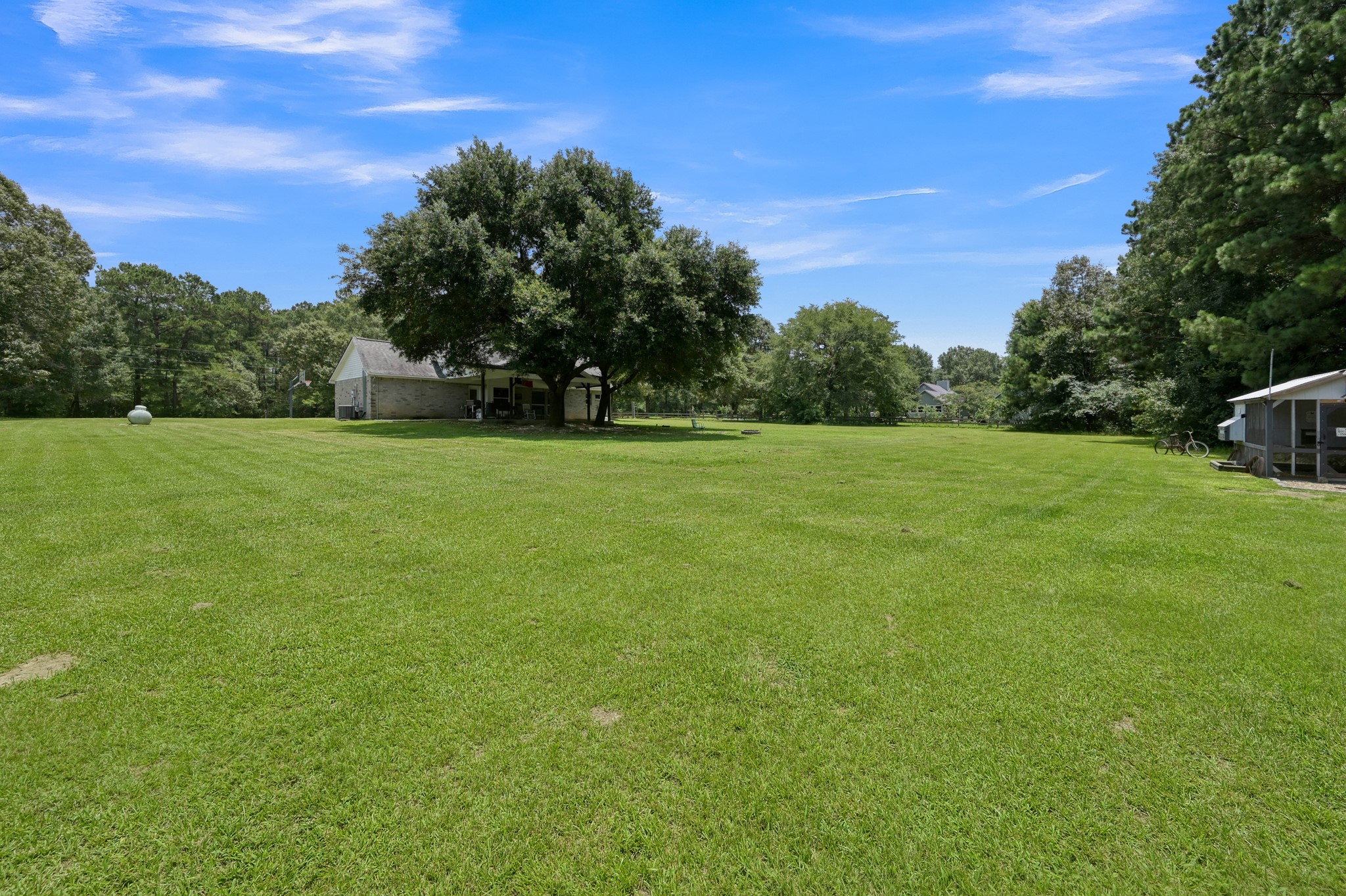 14909 Pine Tree Road Montgomery, TX 77356 - Photo 38 of 49 View of backyard from the left side of the property