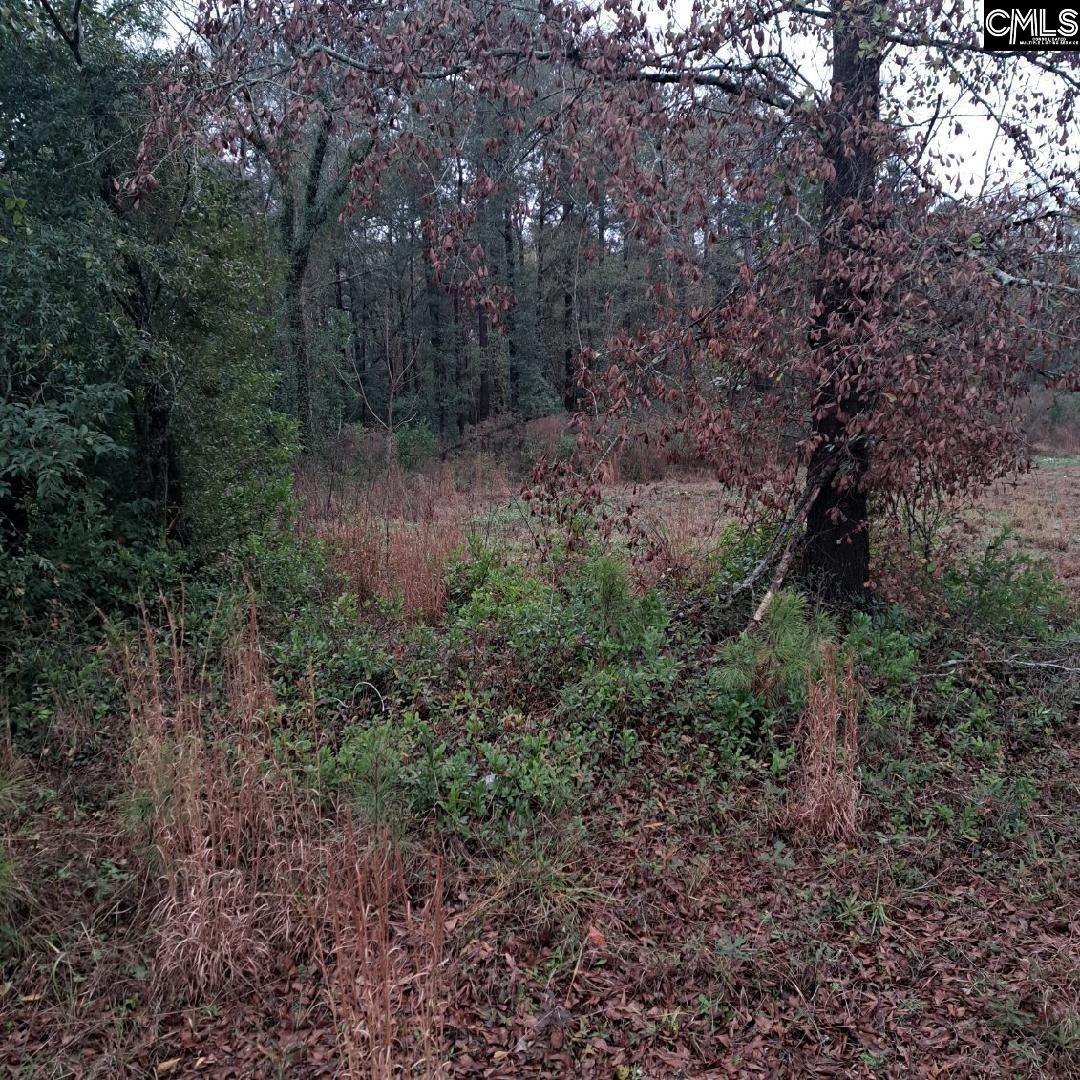 0 Popular Street, Unit LOT 1 Cayce, SC 29033 - Photo 4 of 8