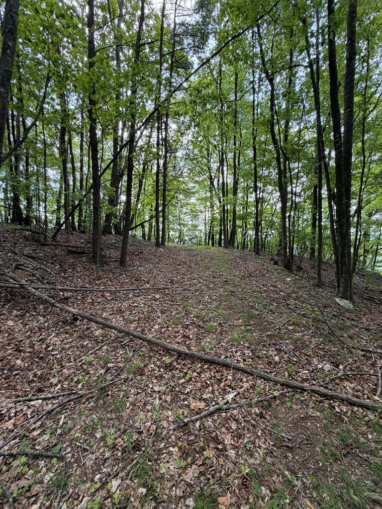 Tbd Wards Gap Road, Unit 16 58 Fancy Gap, VA 24328 - Photo 11 of 23 Gallery Image 11