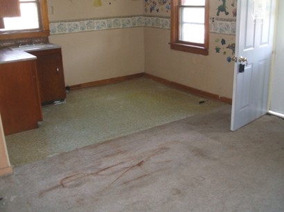 513 West Marshall Street Decatur, IN 46733 - Photo 4 of 5