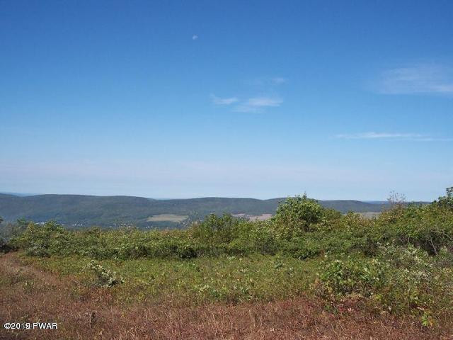 Mountain Road Carbondale, PA 18407 - Photo 1 of 1