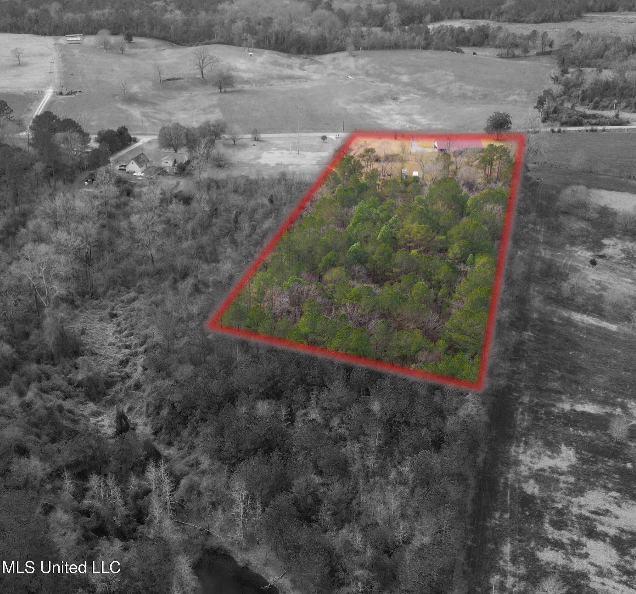 988 Salem Church Road Collins, MS 39428 - Photo 24 of 25 988 Salem Church Rd Collins-10 copy