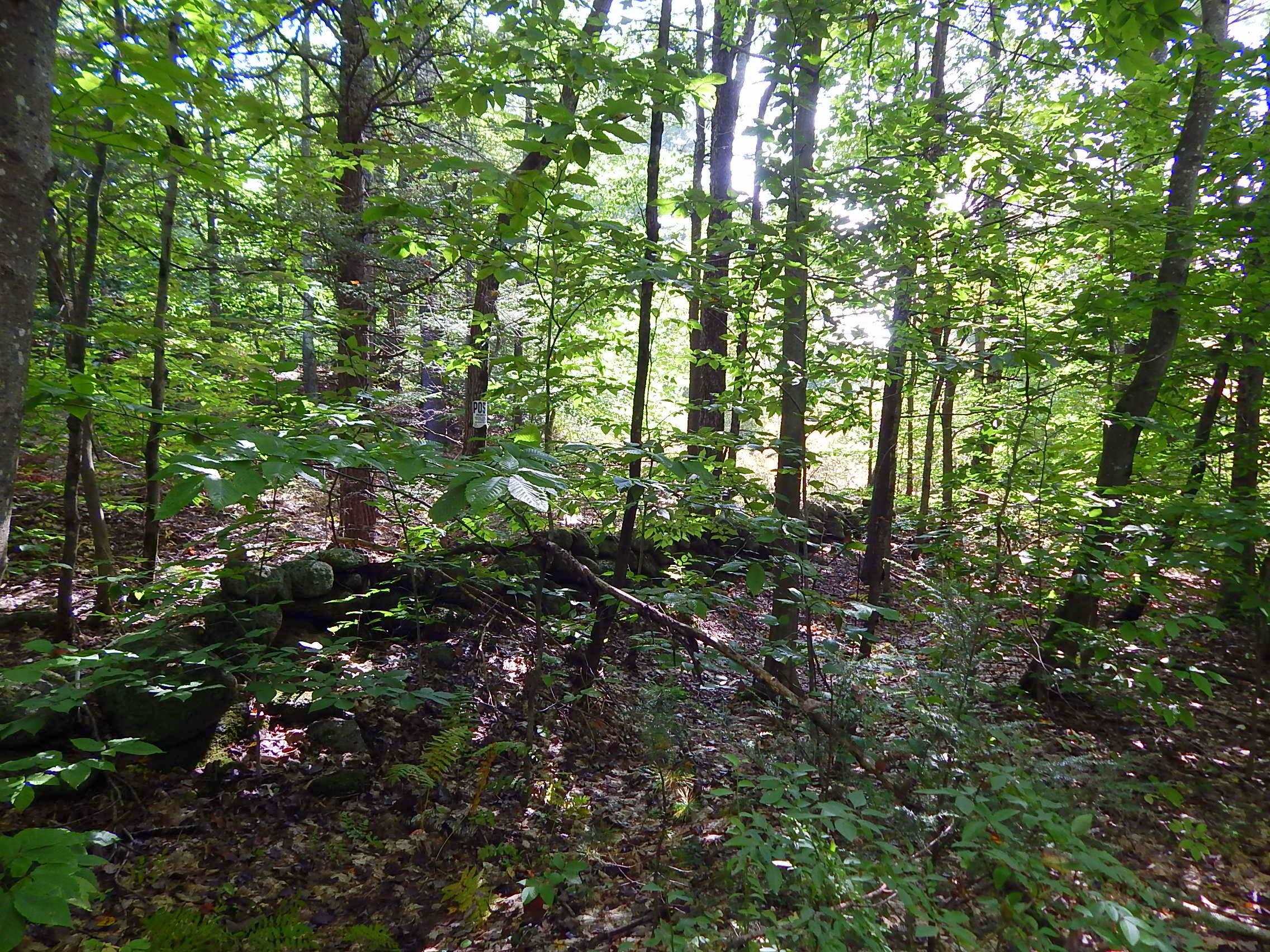 477 Province Road Strafford, NH 03884 - Photo 39 of 40 Gallery Image 39