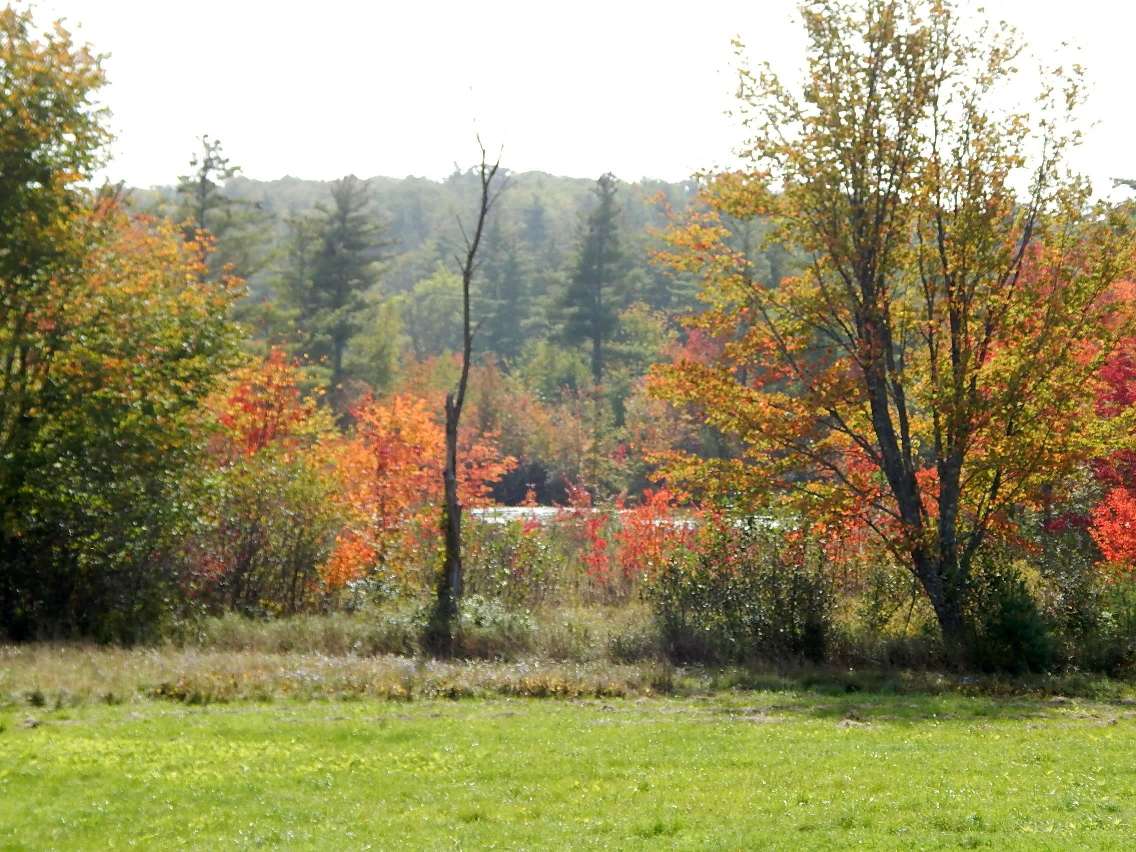 477 Province Road Strafford, NH 03884 - Photo 7 of 40 Gallery Image 7