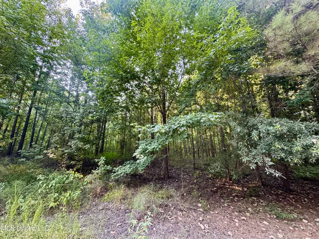 $55,000 | 69 County Road, Carrollton, MS 38917