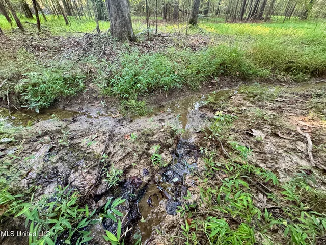 $55,000 | 69 County Road, Carrollton, MS 38917