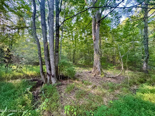 $55,000 | 69 County Road, Carrollton, MS 38917