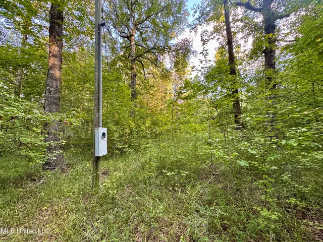 $55,000 | 69 County Road, Carrollton, MS 38917