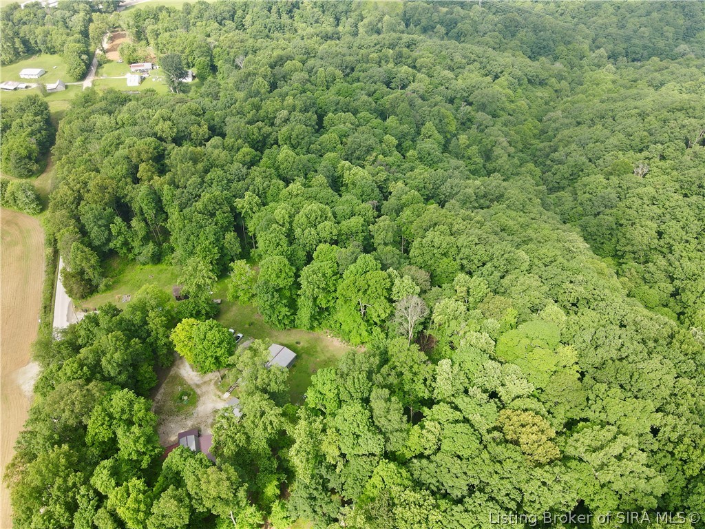 9462 East Saylor Road Salem, IN 47167 - Photo 9 of 50