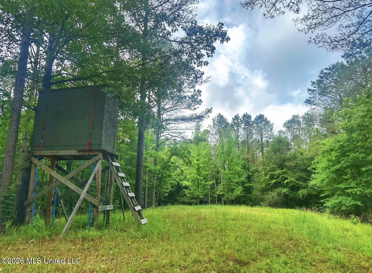 700 Rathell Road Lexington, MS 39095 - Photo 11 of 14 IMG_4032