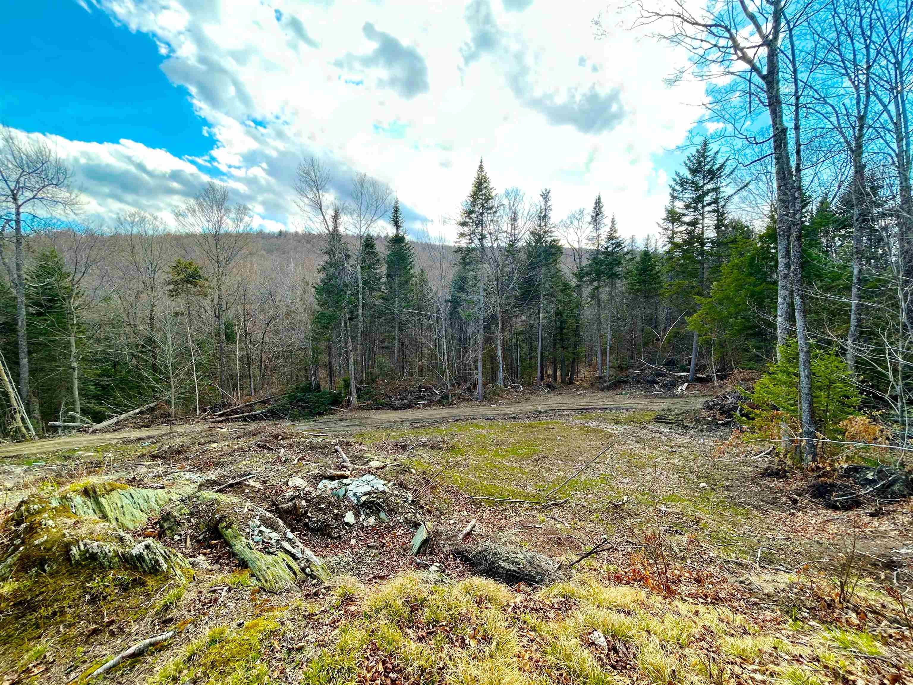 1164 Hallstrom Road Northfield, VT 05663 - Photo 14 of 21