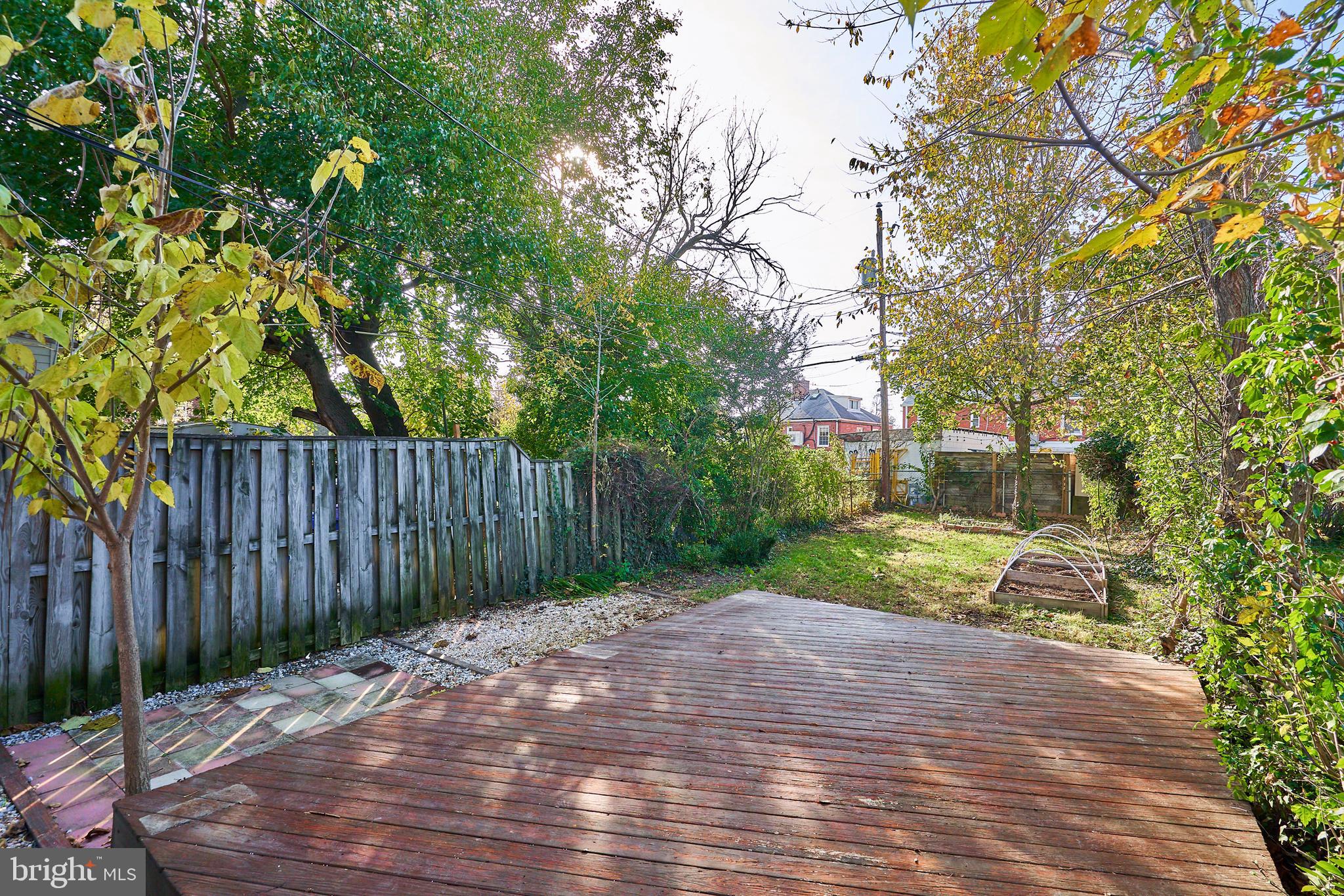 302 South Courthouse Road Arlington, VA 22204 - Photo 20 of 21
