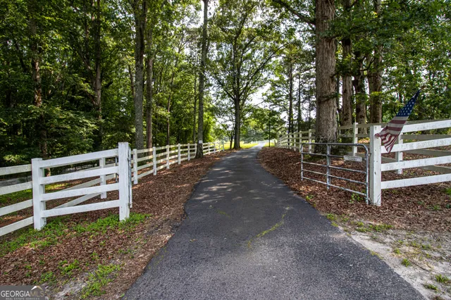 a view of a park with large trees