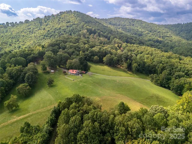 a view of a lush green hillside and houses