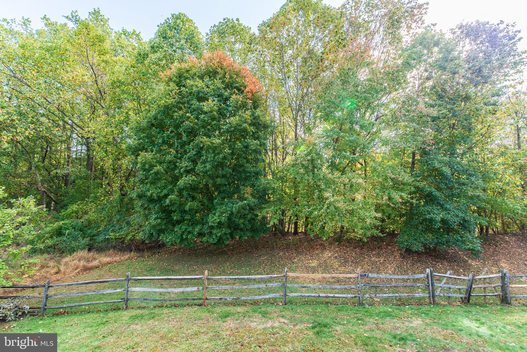 1009 Red Pump Road Bel Air, MD 21014 - Photo 44 of 48 Backs to Trees
