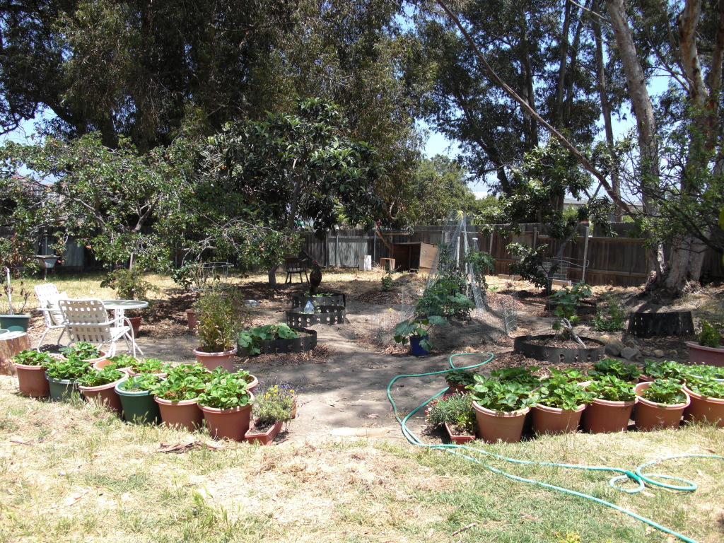 830 Fortuna Lane Santa Barbara, CA 93117 - Photo 3 of 4 a view of a backyard with sitting area