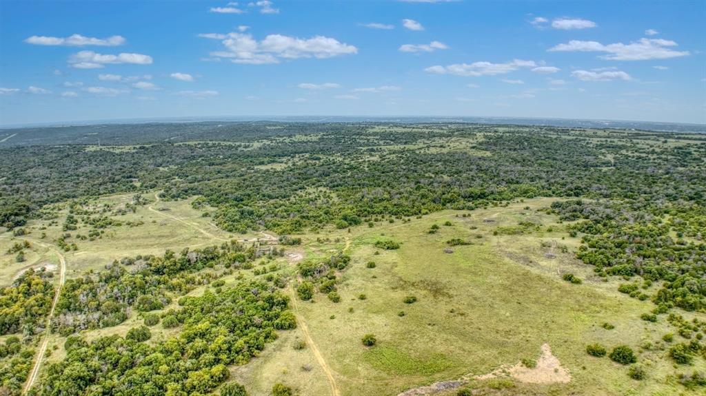 5350 Upper Denton Road Weatherford, TX 76085 - Photo 15 of 19 a view of yard with large tree