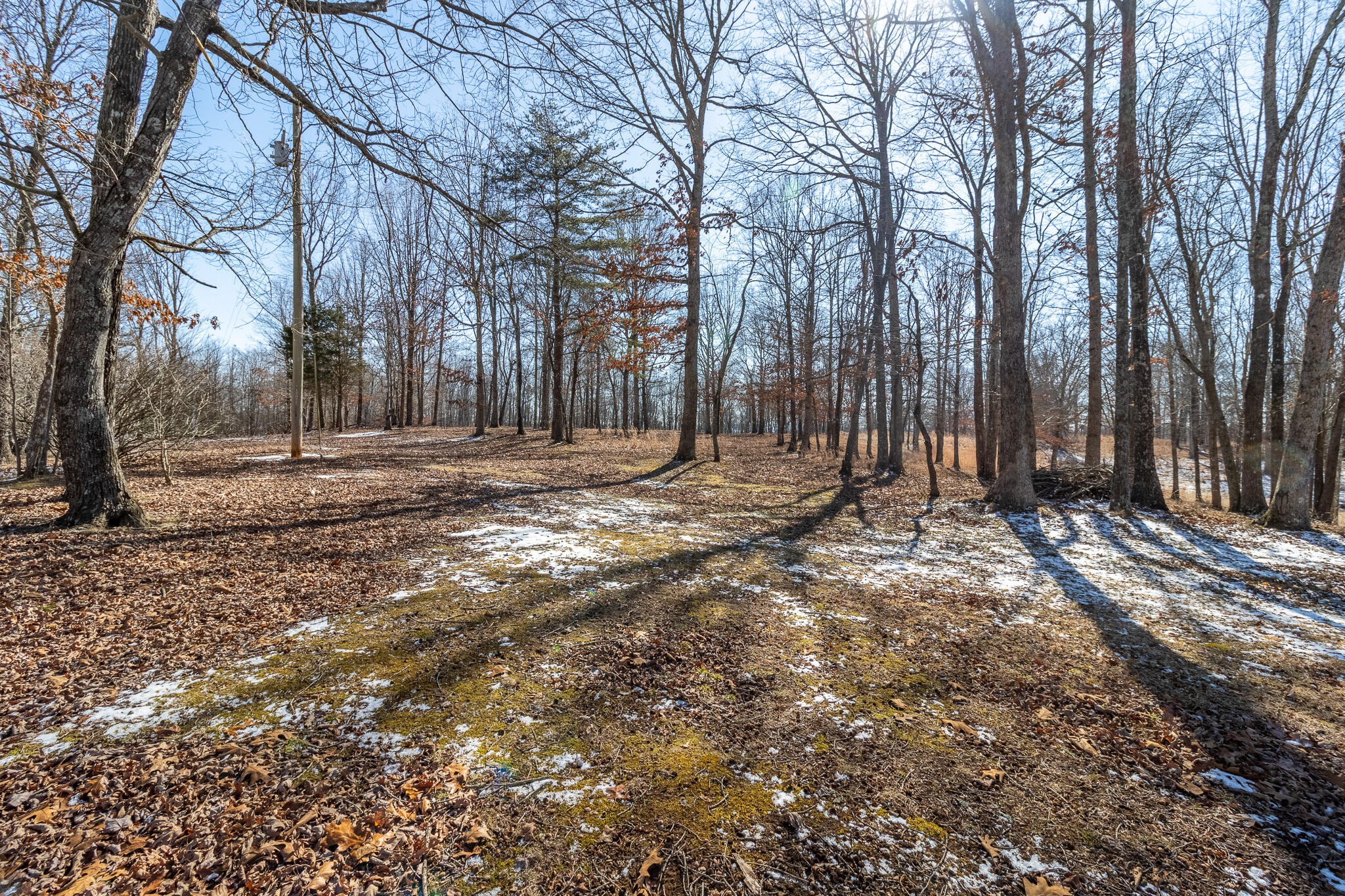 1844 Hobbstown Road Dunlap, TN 37327 - Photo 61 of 81 Gallery Image 61