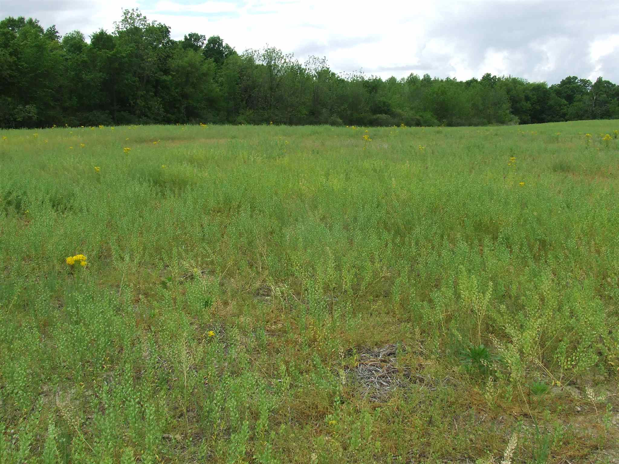 5965 East St Road Huntington, IN 46750 - Photo 11 of 12