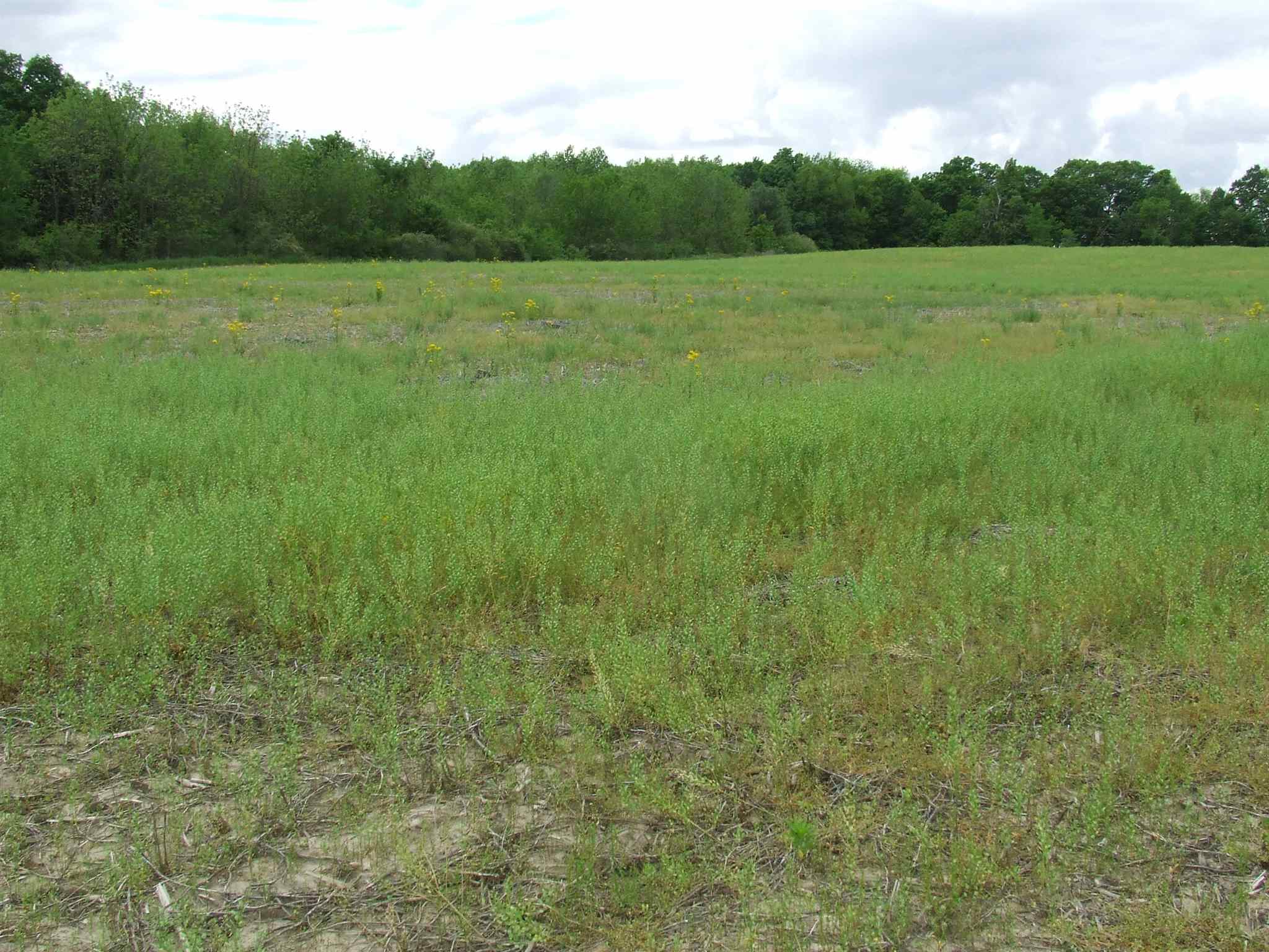 5965 East St Road Huntington, IN 46750 - Photo 12 of 12