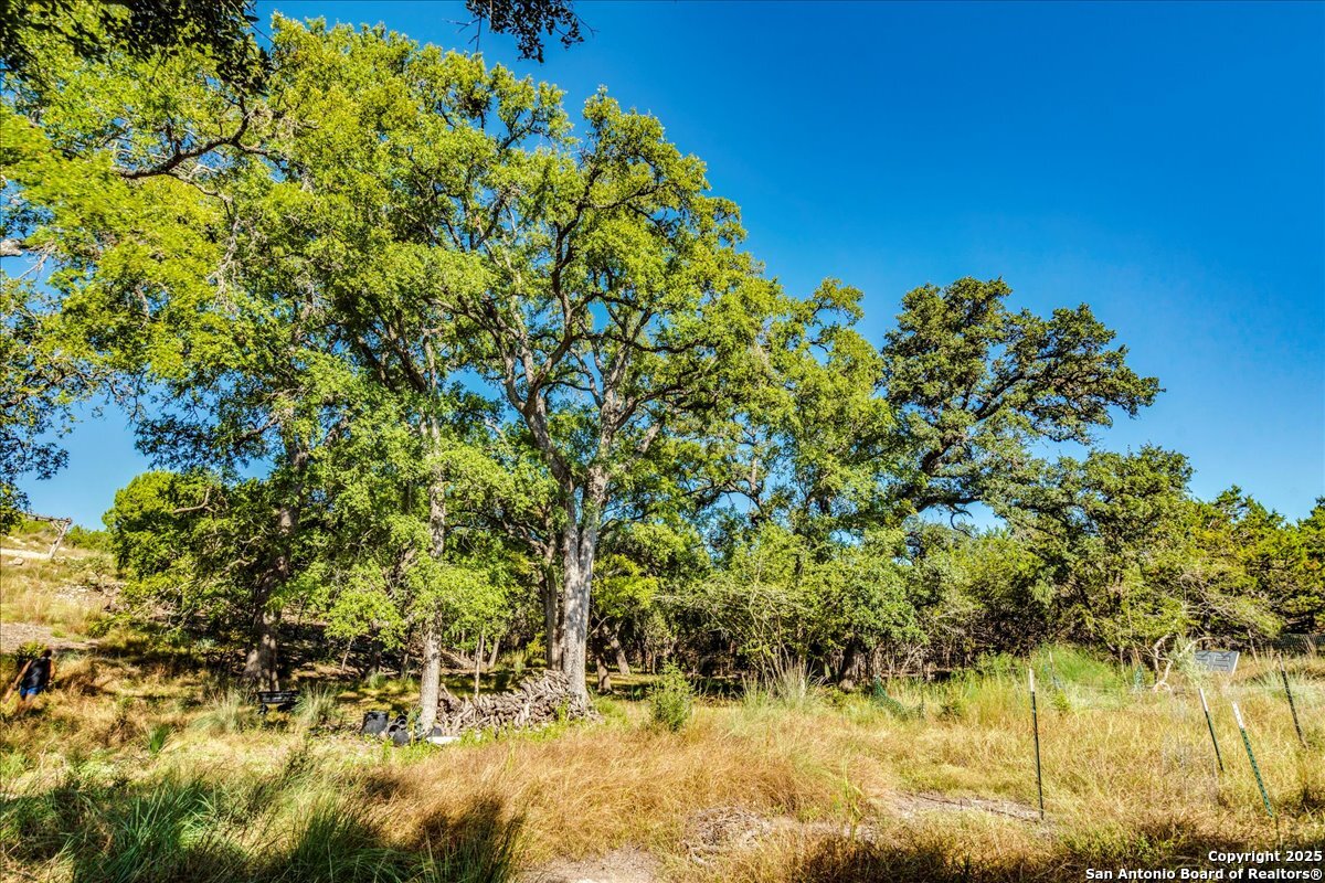530 Stallion Estates Drive Spring Branch, TX 78070 - Photo 11 of 26 a view of a yard