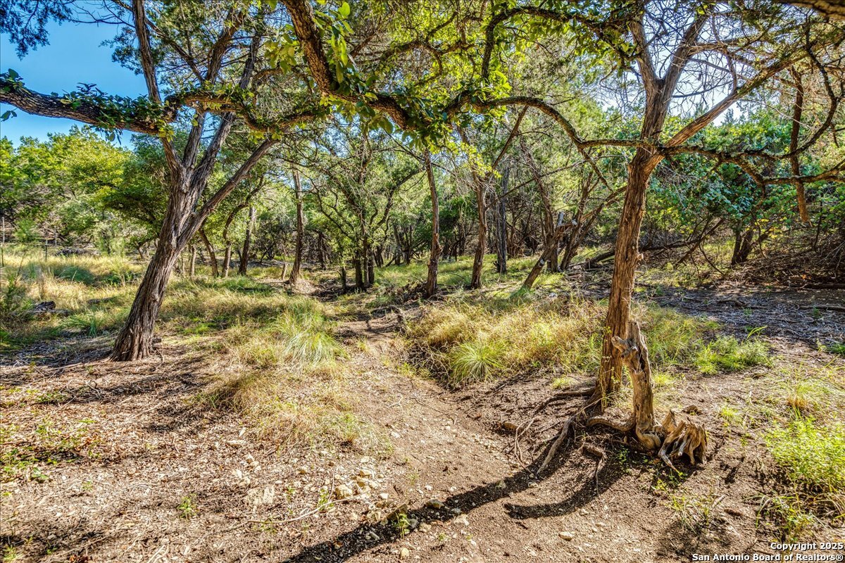 530 Stallion Estates Drive Spring Branch, TX 78070 - Photo 12 of 26