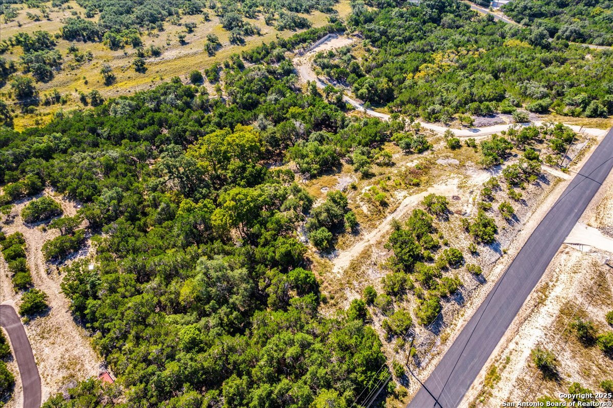 530 Stallion Estates Drive Spring Branch, TX 78070 - Photo 20 of 26 a view of a yard