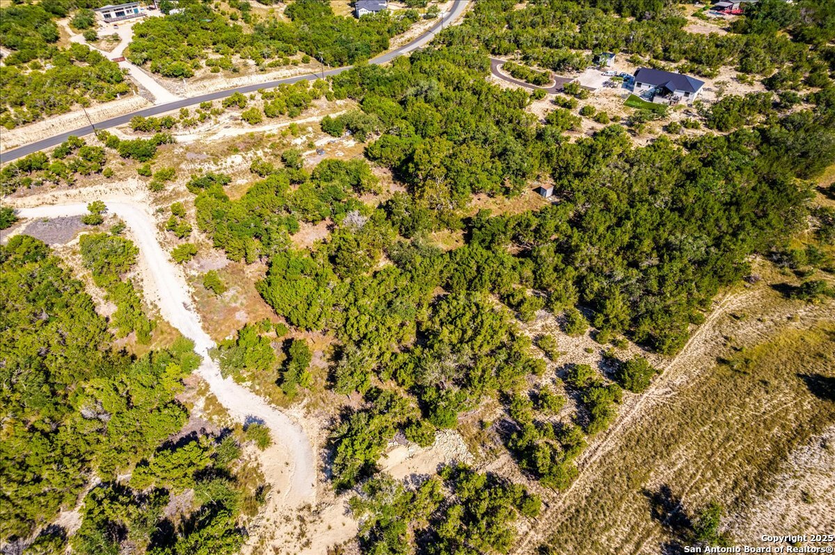 530 Stallion Estates Drive Spring Branch, TX 78070 - Photo 23 of 26 a view of a yard with a tree