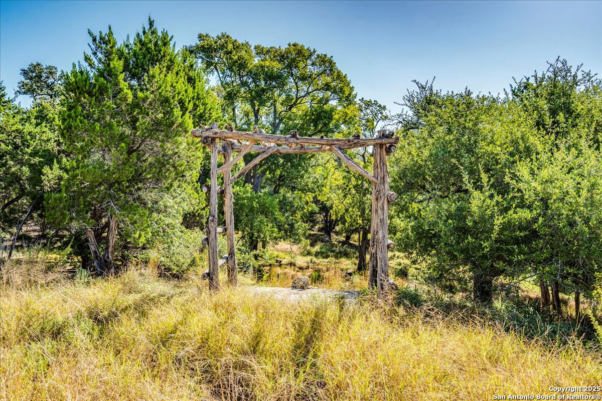 530 Stallion Estates Drive Spring Branch, TX 78070 - Photo 3 of 26 a view of yard with green space