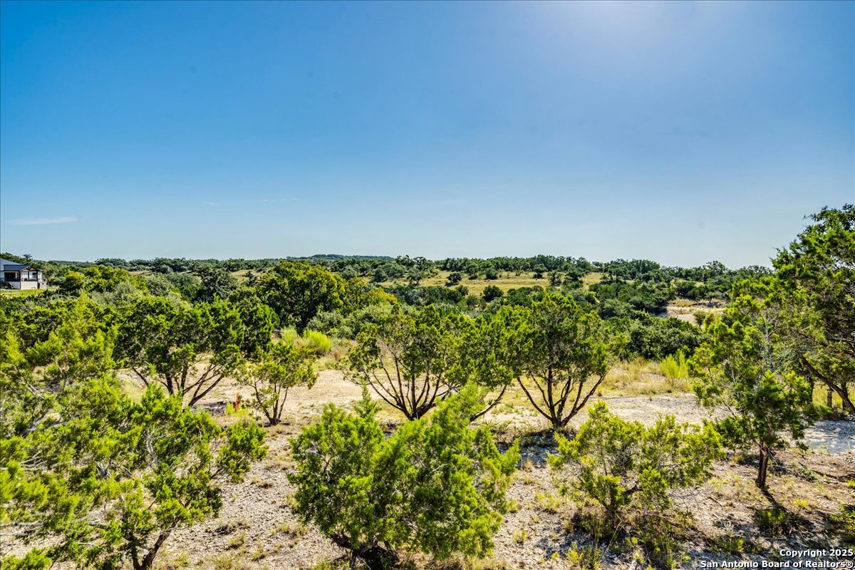530 Stallion Estates Drive Spring Branch, TX 78070 - Photo 5 of 26 a view of a large yard with plants and large trees