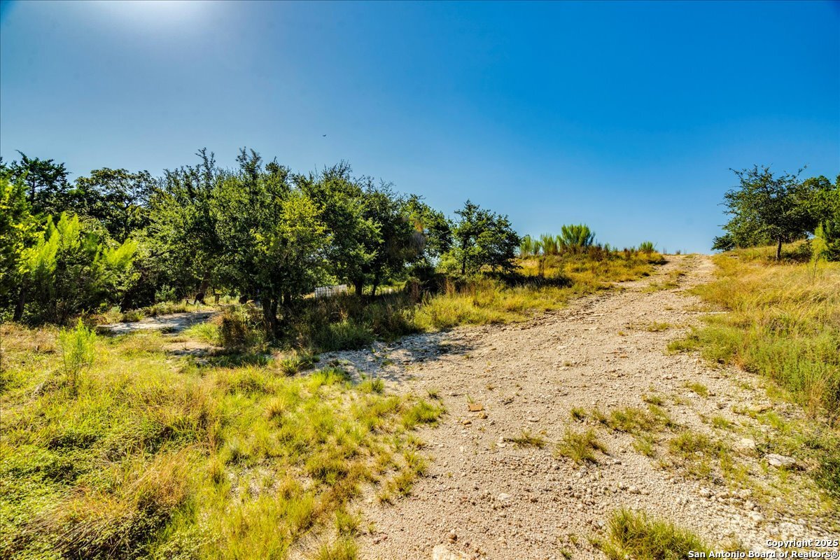 530 Stallion Estates Drive Spring Branch, TX 78070 - Photo 7 of 26 a view of a yard with swimming pool