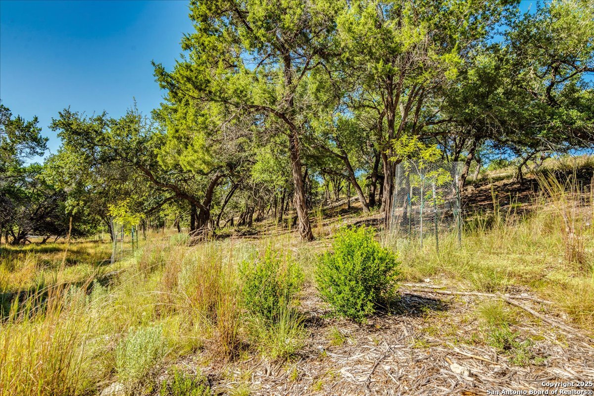 530 Stallion Estates Drive Spring Branch, TX 78070 - Photo 9 of 26