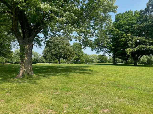 a view of a trees with a yard