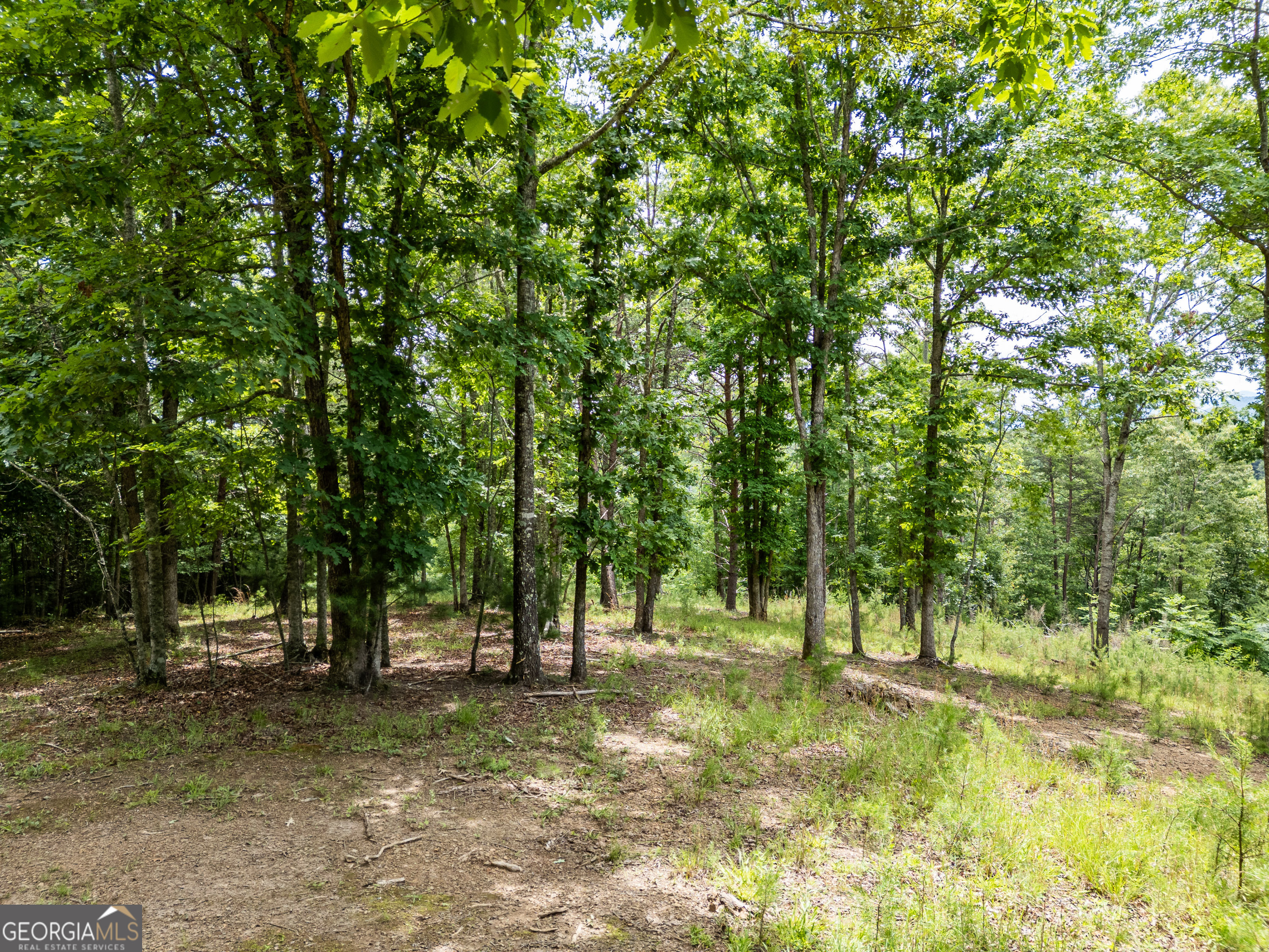 1 Stormy Ridge Brasstown, NC 28902 - Photo 5 of 20
