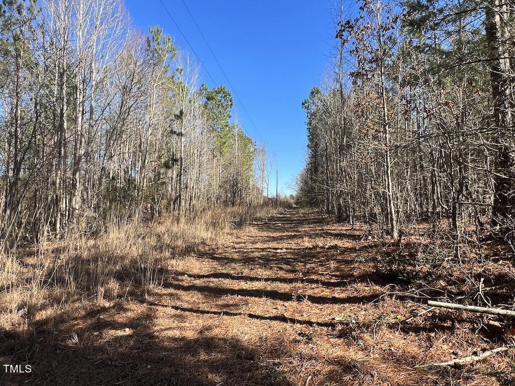 1 Savage Road Spring Hope, NC 27882 - Photo 18 of 26 20