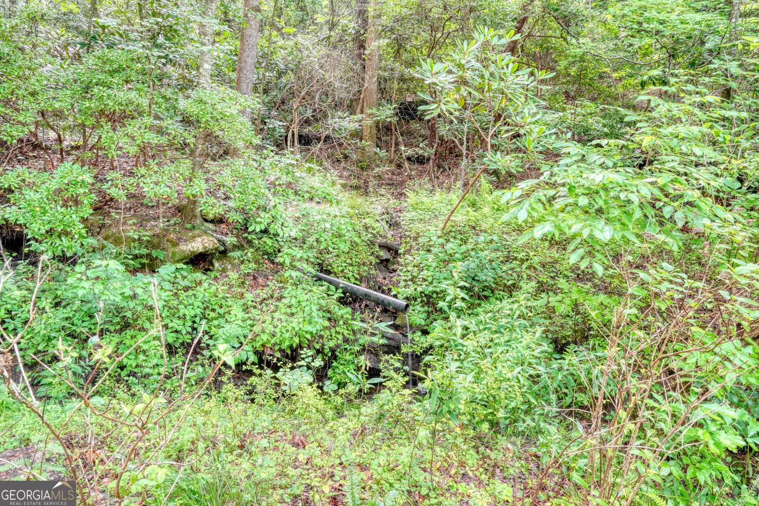 5127 Mineral Springs Road Young Harris, GA 30582 - Photo 47 of 58