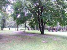 514 Edgeview Road Lower Burrell, PA 15068 - Photo 3 of 3 Yard/Garden.
