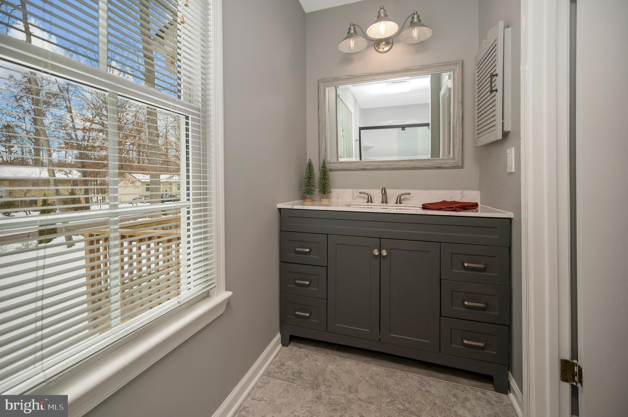 217 Washington Street Locust Grove, VA 22508 - Photo 32 of 47 primary Bath