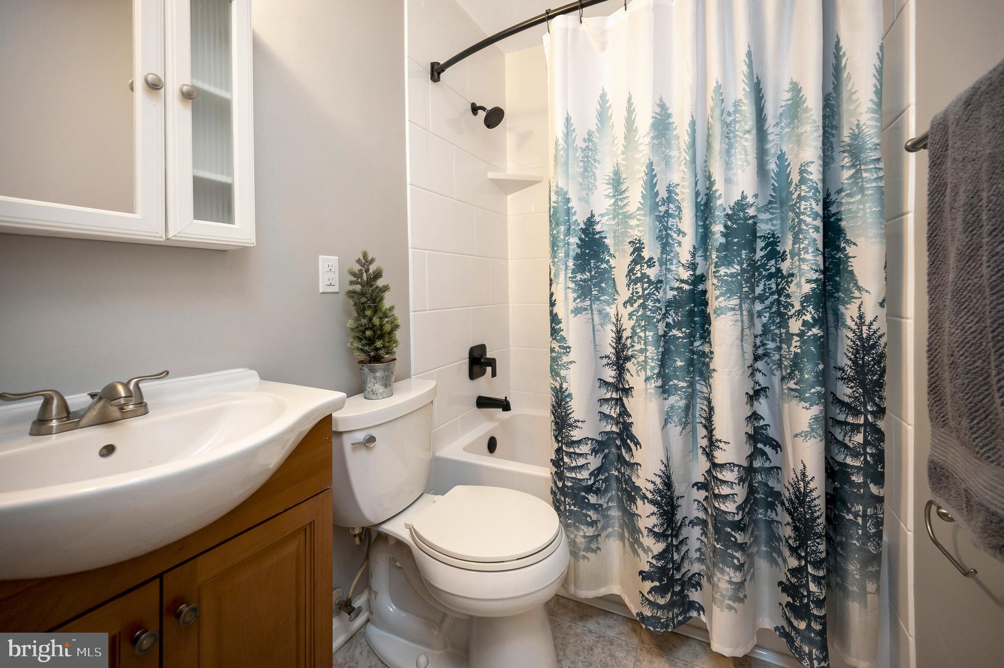 217 Washington Street Locust Grove, VA 22508 - Photo 41 of 47 2nd bath