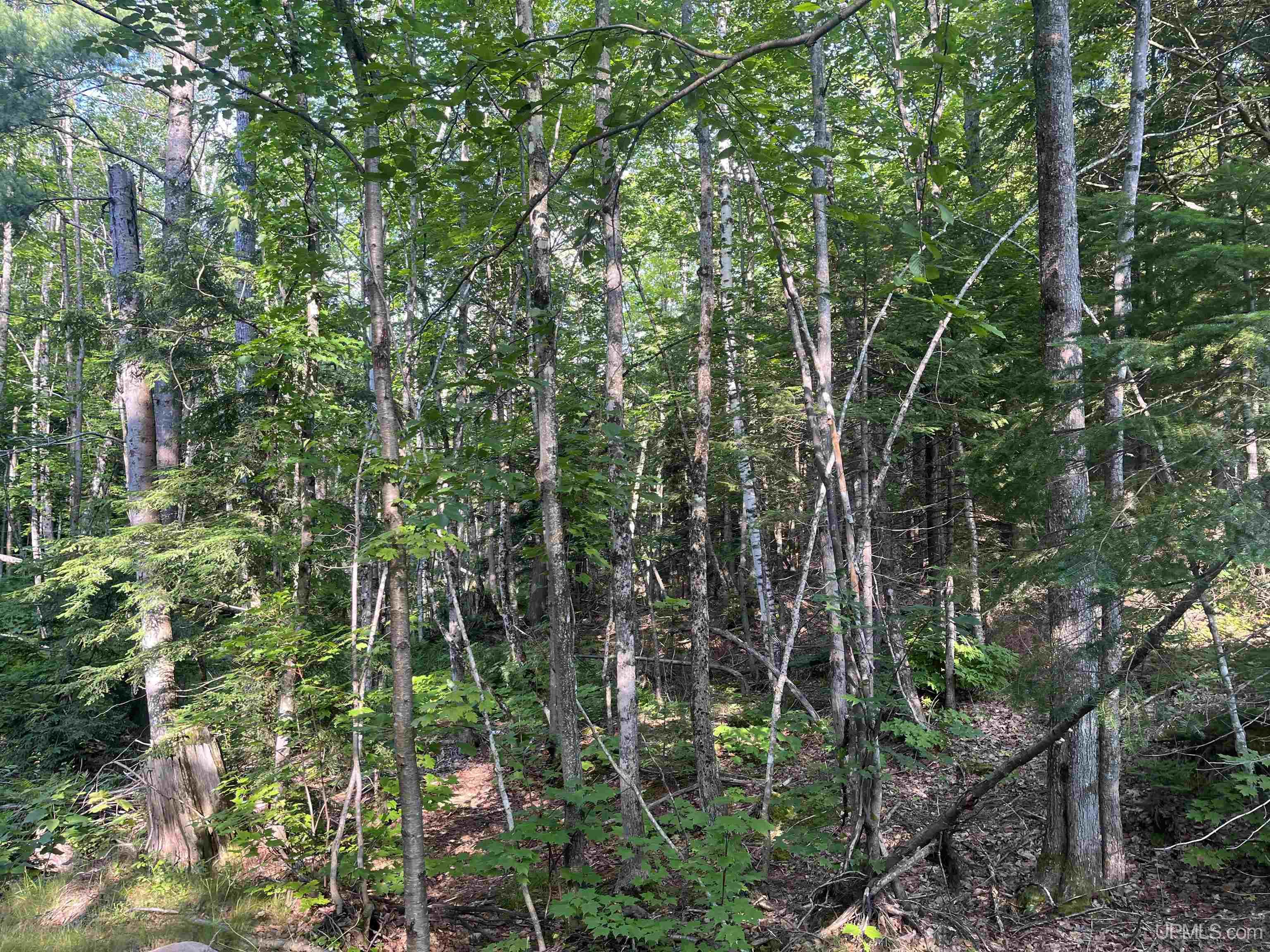 510 Rd Ishpeming Mi 49849 Road Negaunee, MI 49866 - Photo 10 of 33