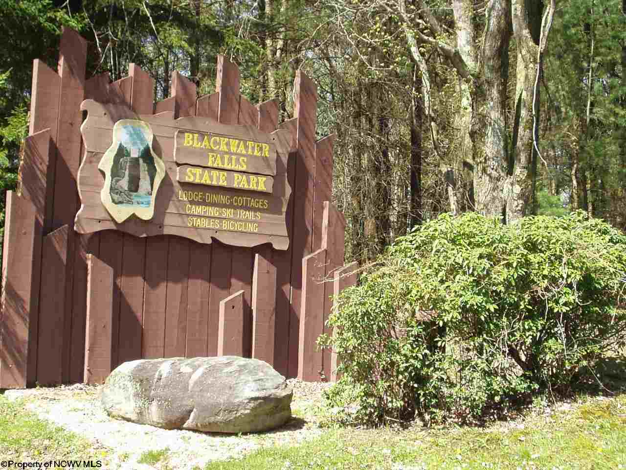19 Pointy Knob Road Davis, WV 26260 - Photo 17 of 20 Gallery Image 17