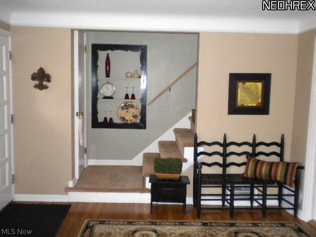 4761 Burger Road Cleveland, OH 44121 - Photo 4 of 11 Built in Shelf * Guest Closet