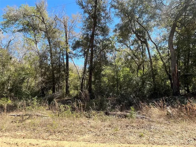a view of backyard with green space
