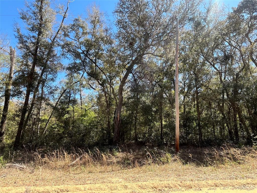 Walker Interlachen, FL 32148 - Photo 5 of 15 a view of a house with a yard