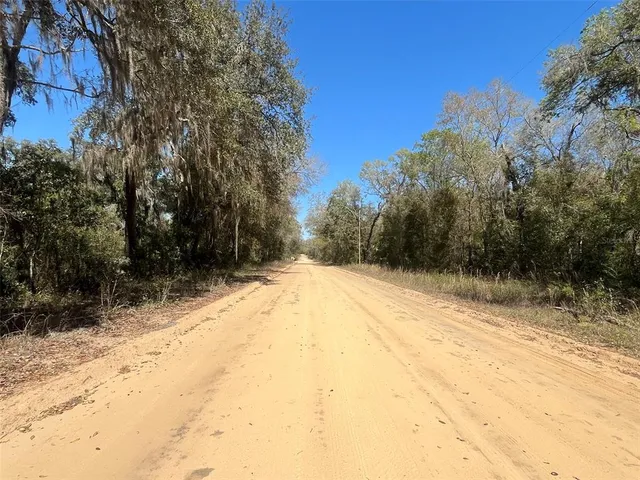a view of empty space and covered with trees