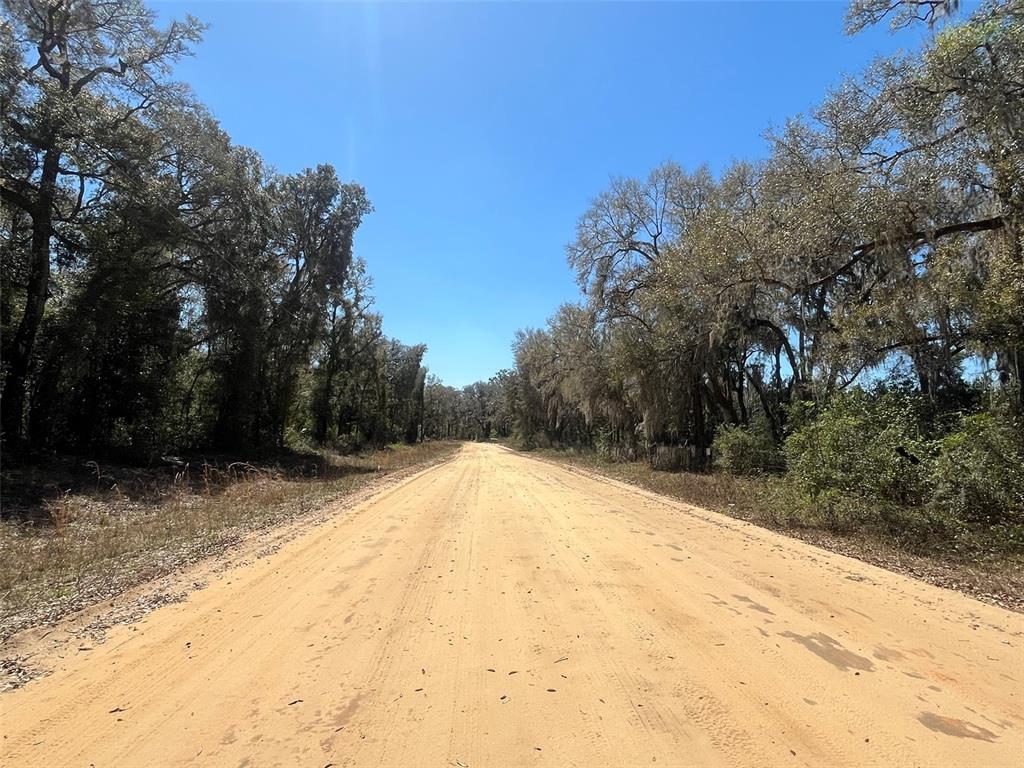 Walker Interlachen, FL 32148 - Photo 7 of 15 a view of a yard with trees