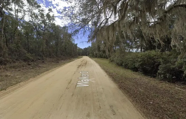 a view of road with large trees